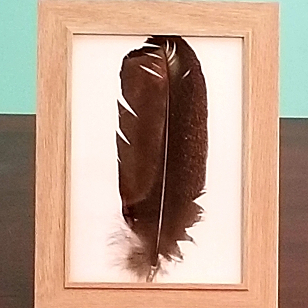 Turkey Feather Artwork in 5×7 wood Hang or Stand alone Frame/ Featherwork